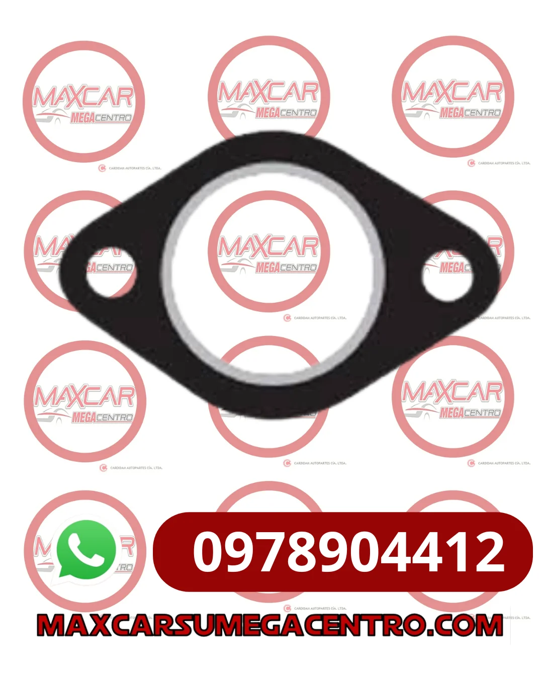 EE.E040 EMPAQUE ESCAPE OVALADO VARIOS