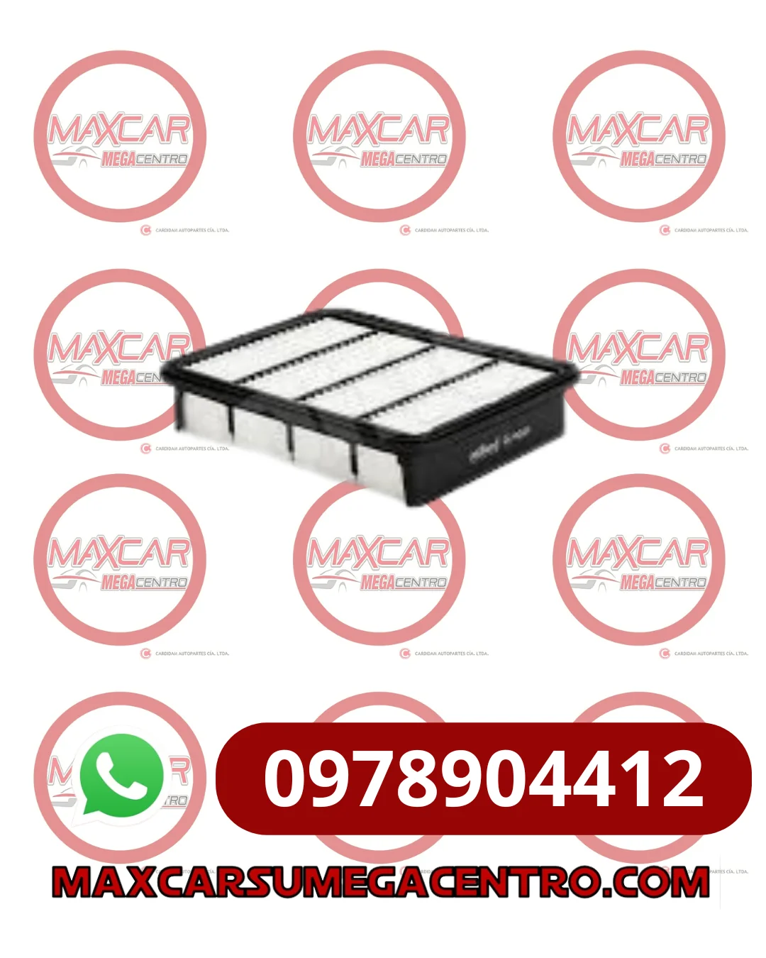 Miniatura 1