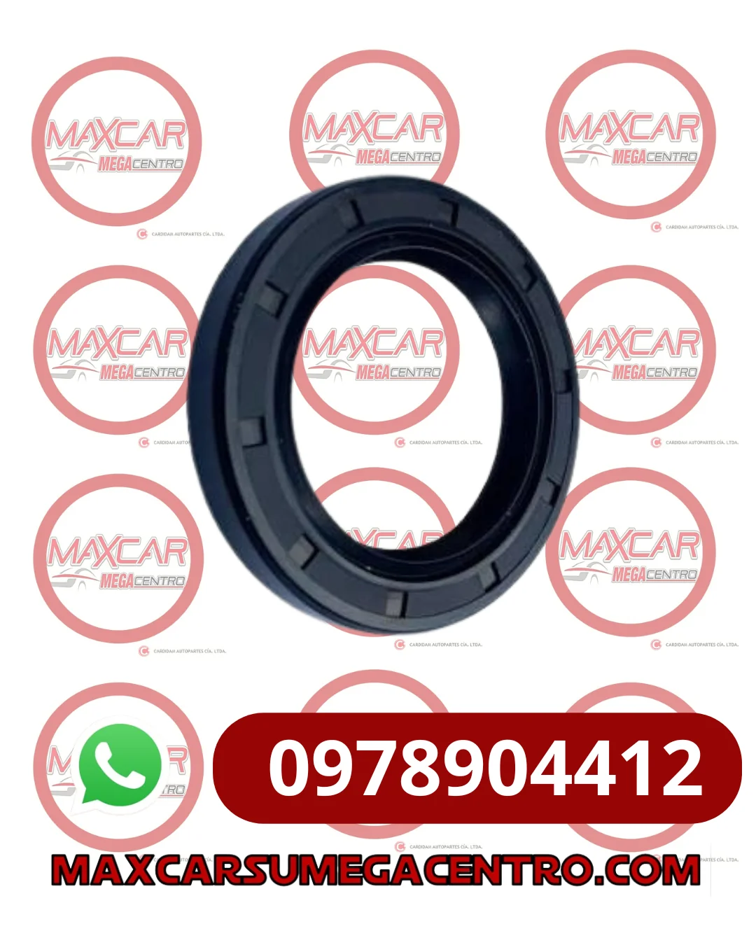 R.456910 RETENEDOR NAK 45X69X10 TC