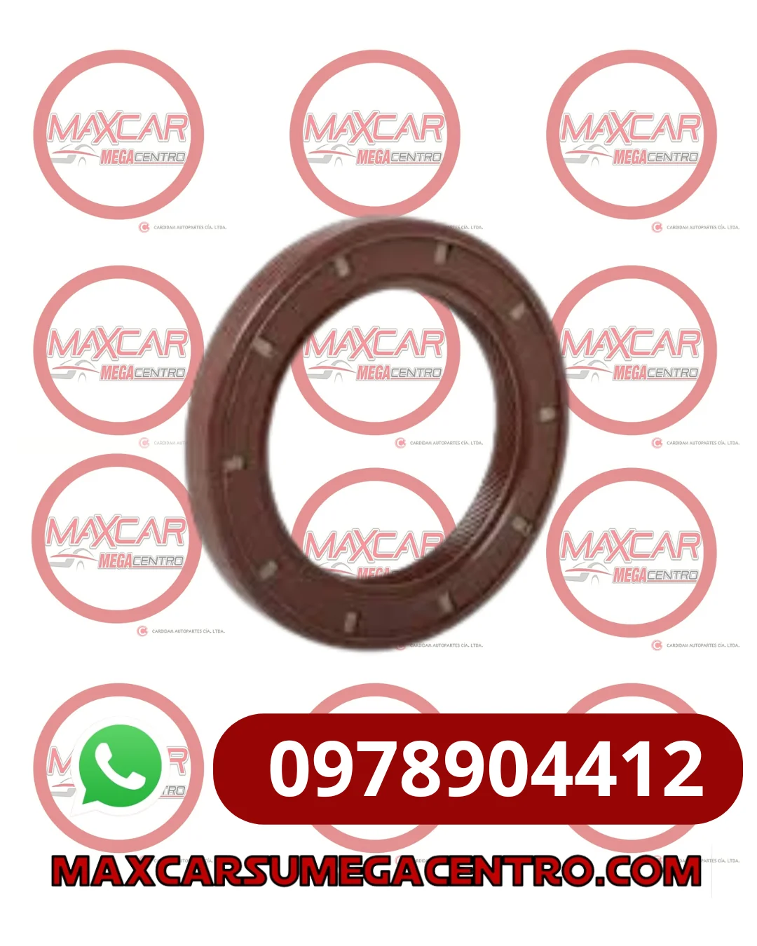 R.41619 RETENEDOR CAJA OEM 525MHA-1701203 CHERY ARRIZO 5 FL AC 1.5 (LH) (41X61X9)