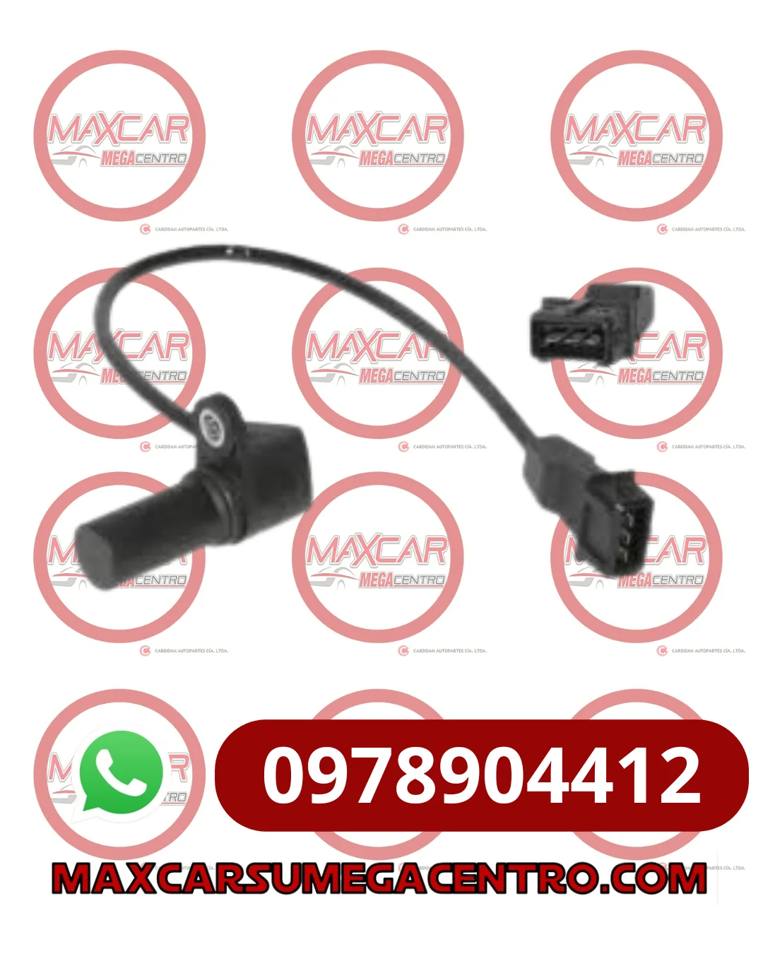 Miniatura 1