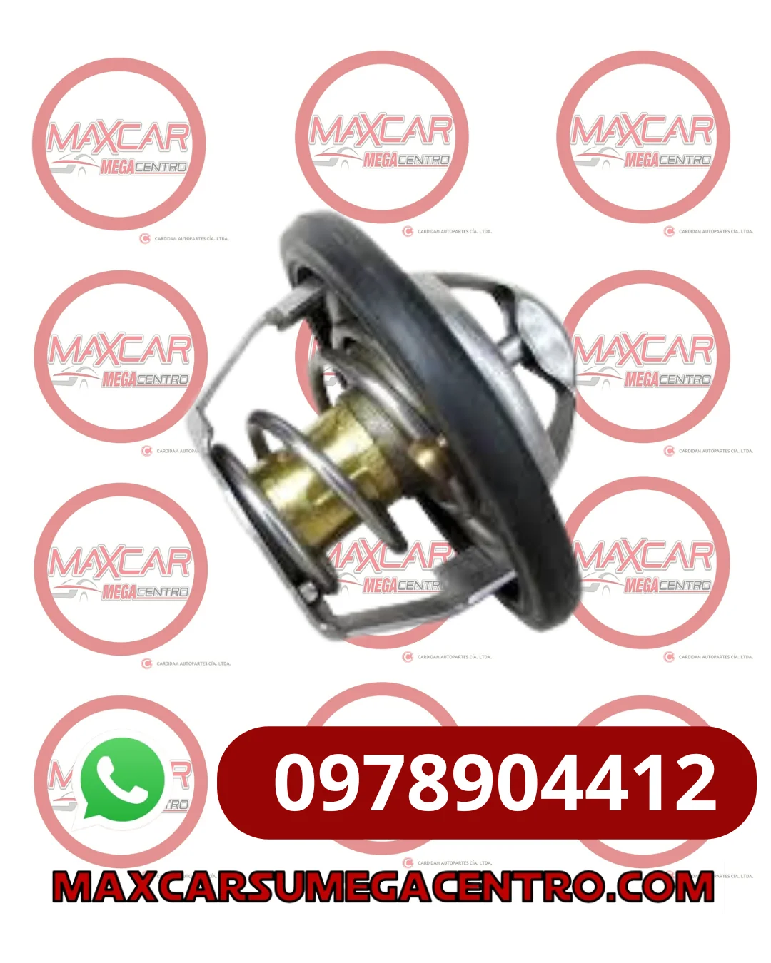 TER.24564633 TERMOSTATO GM VAN N200/N300